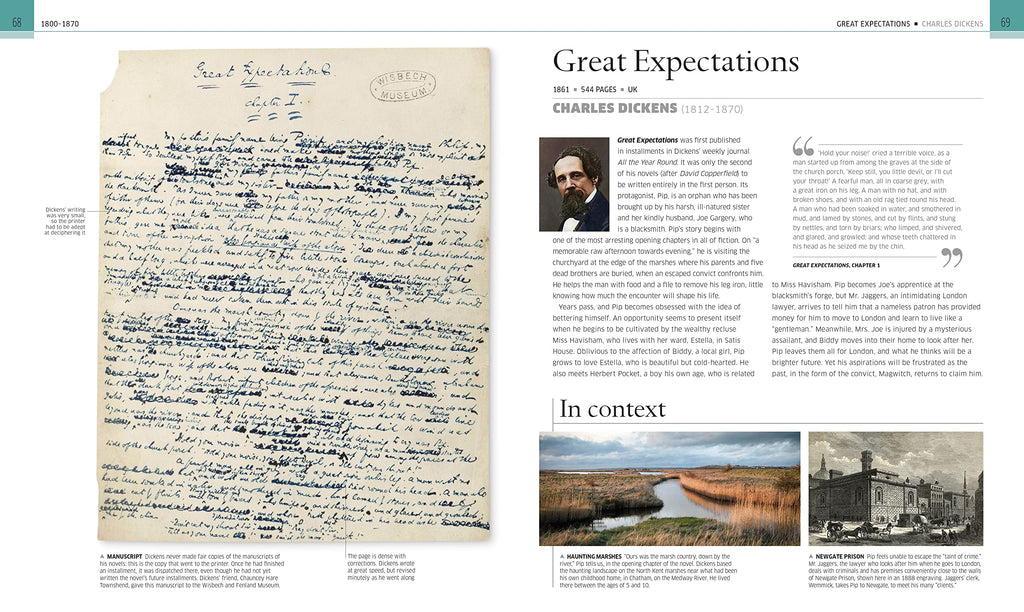 Great Novels: The World's Most Remarkable Fiction Explored and Explained (DK History Changers)