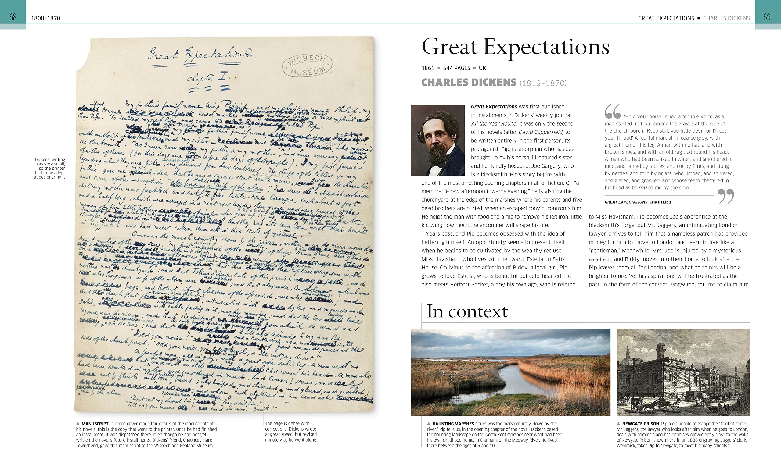 Great Novels: The World's Most Remarkable Fiction Explored and Explained (DK History Changers)