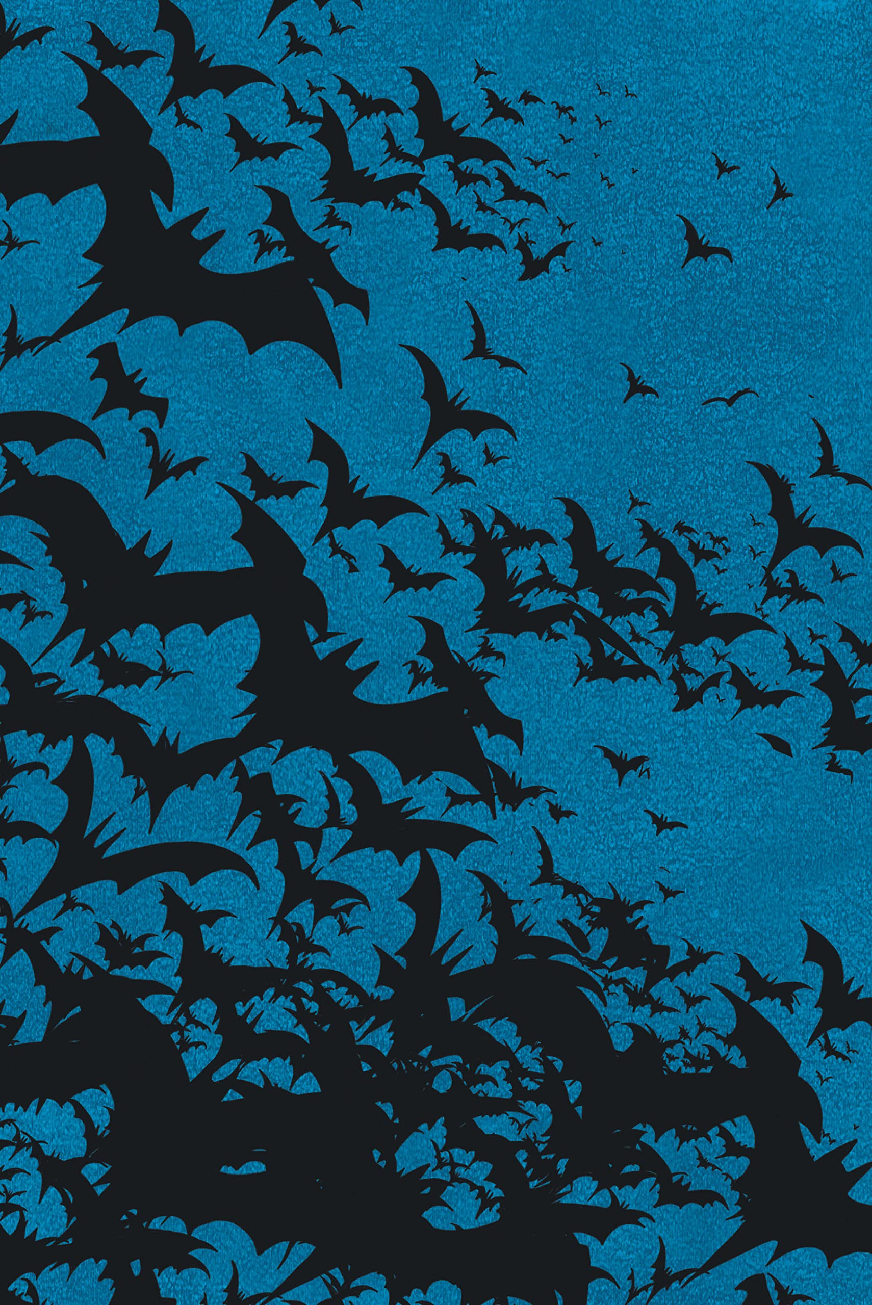 Shadow of the Batgirl