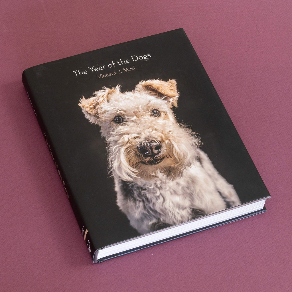 The Year of the Dogs