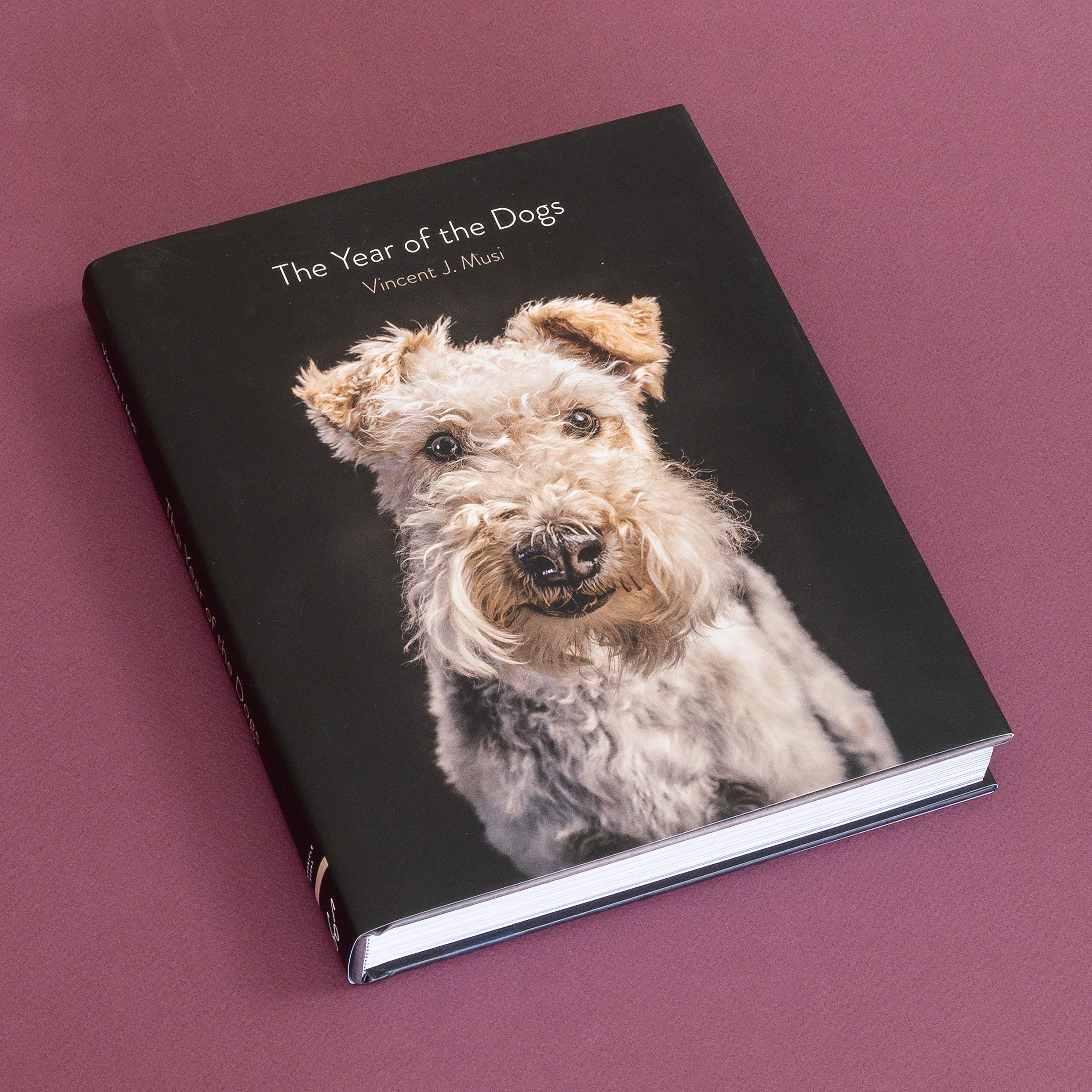 The Year of the Dogs